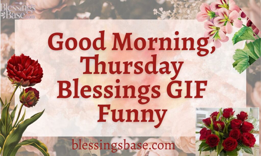 Thursday Blessings GIF Funny