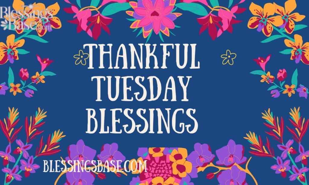 Thankful Tuesday Blessings