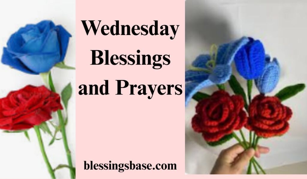 Wednesday Blessings