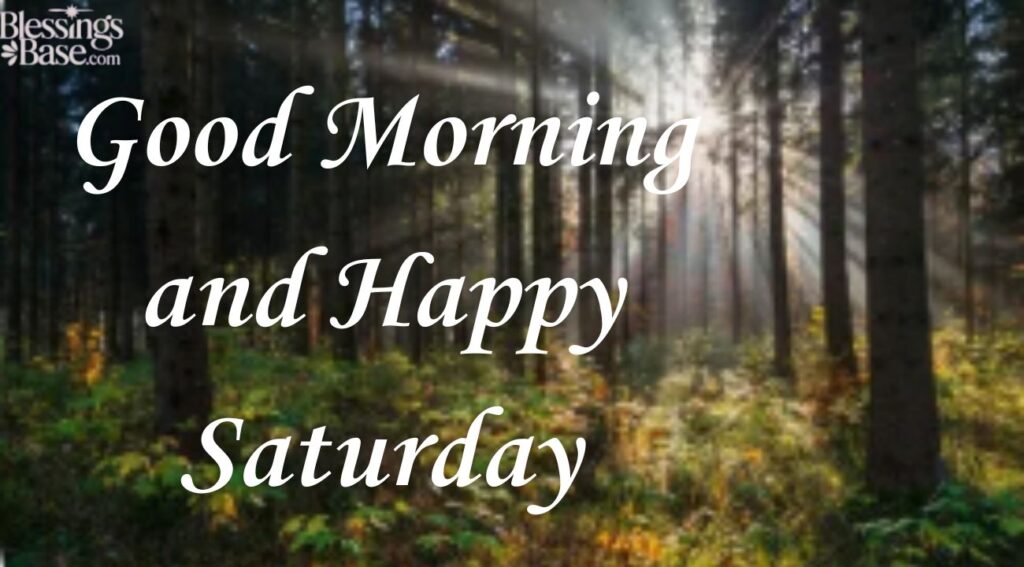 Good Morning and Happy Saturday