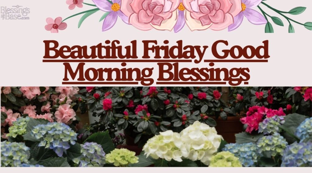 Beautiful Friday Good Morning Blessings
