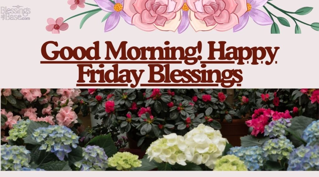 Good Morning! Happy Friday Blessings
