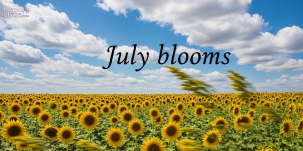 4th of July Quotes Short