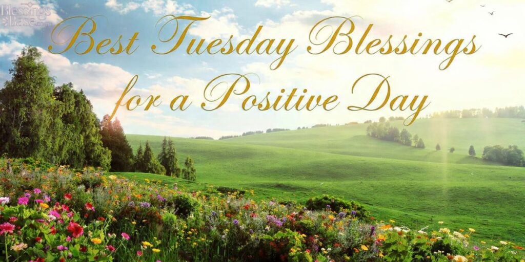 Best Tuesday Blessings for a Positive Day