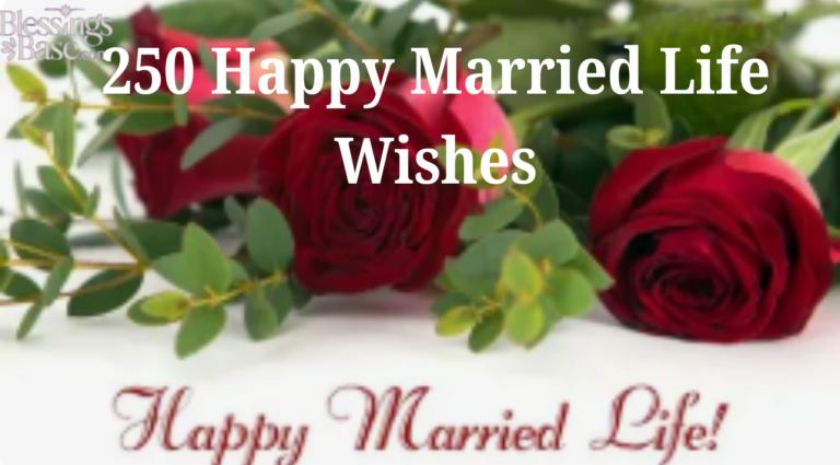 250 Happy Married Life Wishes